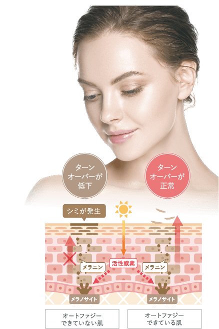 肌体⼒が変わるほどのケア実感へ
